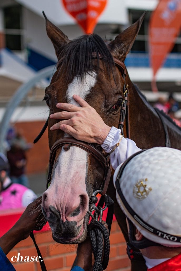 Race horse She's a Keeper getting a nose rub | Kuda